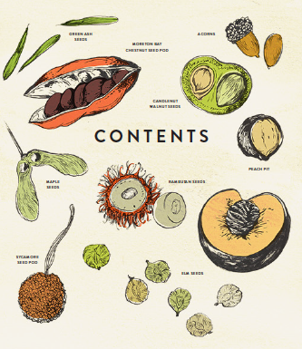 drawing-trees-and-leaves_contents_1