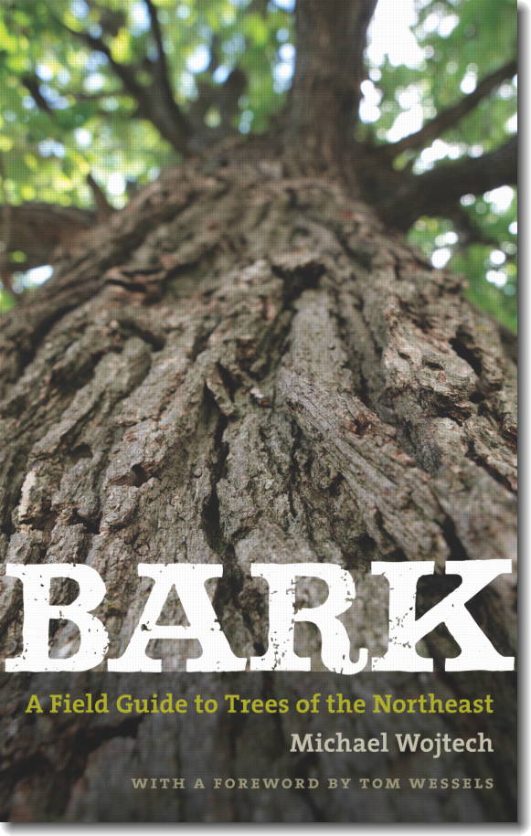 Bark: A Field Guide to Trees of the Northeast, by Michael Wojtech