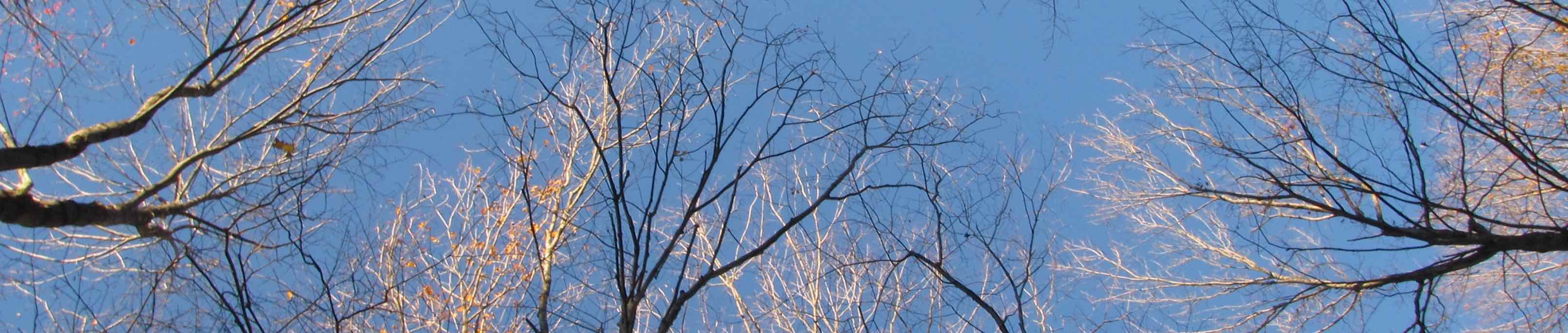 About page header image