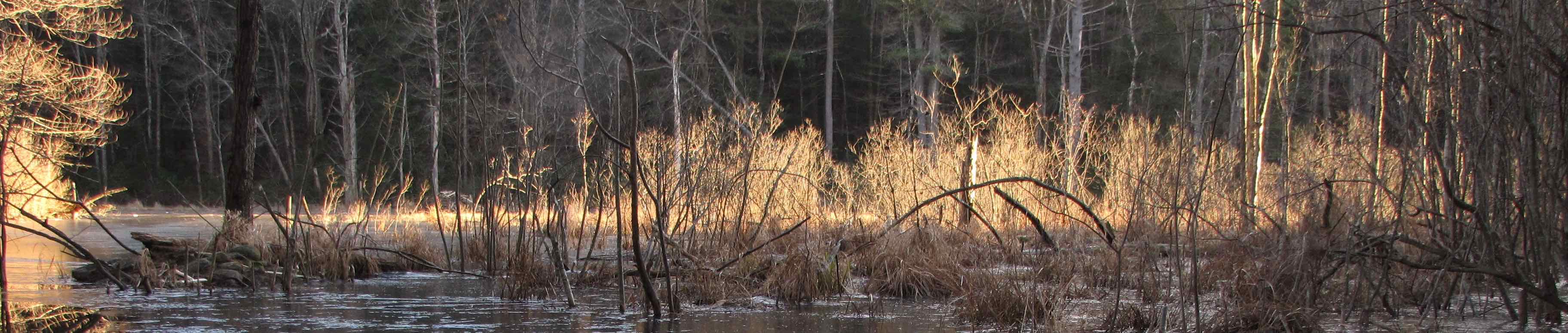 Contact page header image