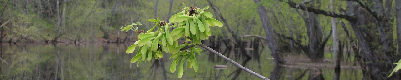 Programs page header image